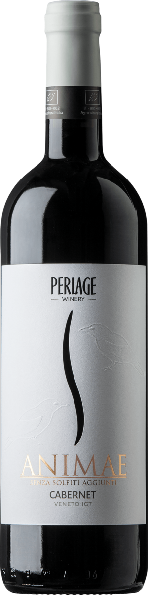 Animae Cabernet: Cabernet Veneto IGT biologico, vegano, senza solfiti aggiunti