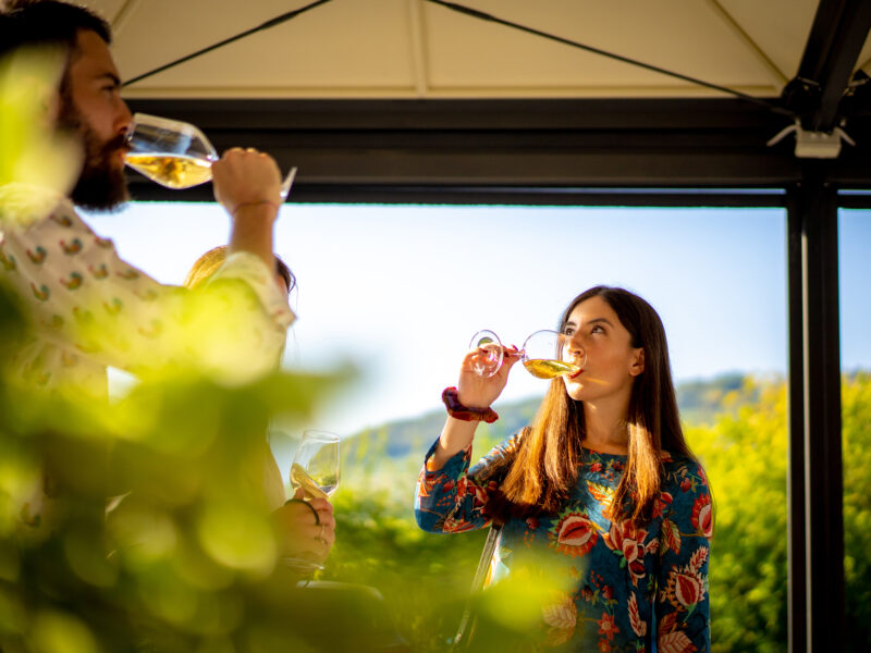 perlage degustazioni prosecco biologico e visite in cantina