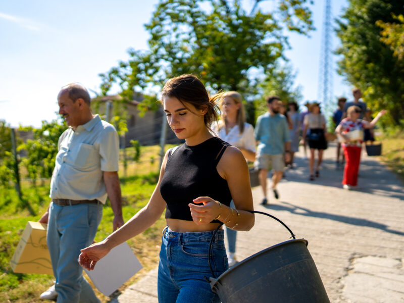 perlage visita in cantina e vigneto degustazione con abbinamento di prodotti tipici locali